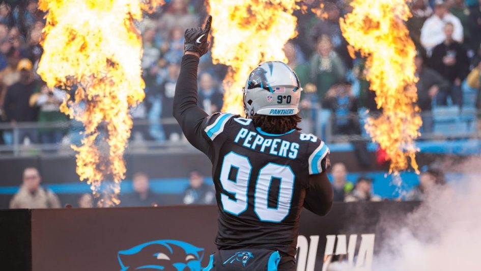 Histoire des Panthers