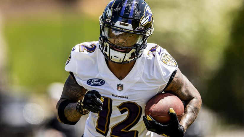 Baltimore Ravens WR