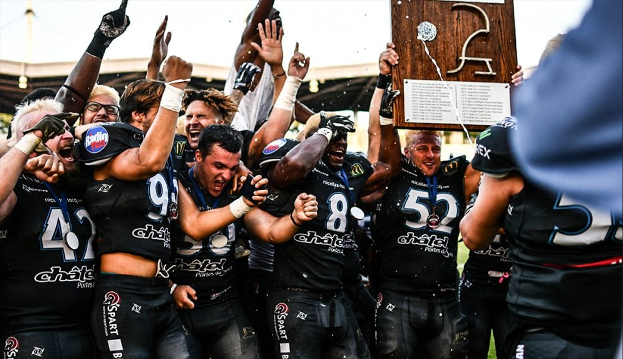 Championnat de France de football américain Elite (D1) – Historique et Palmarès