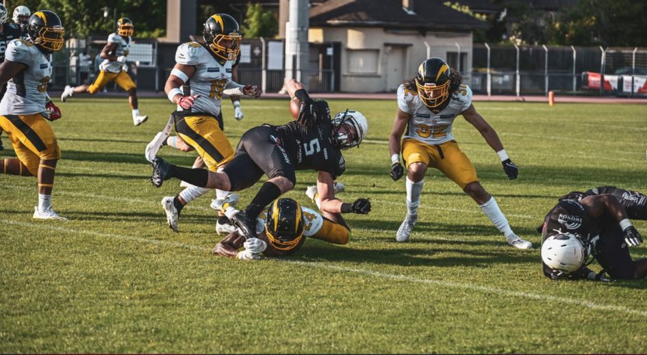 Black Panthers vs Flash
