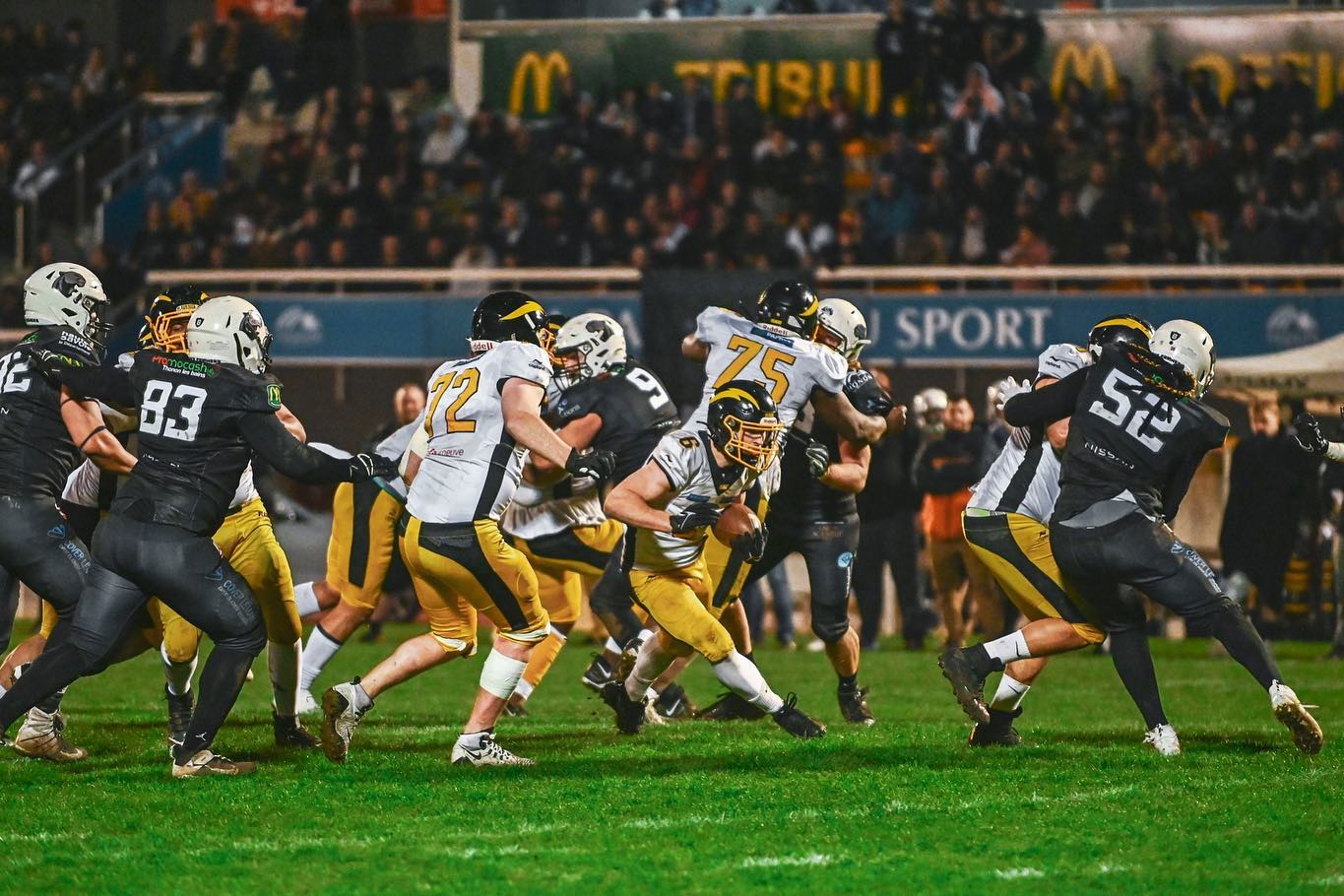 Championnat de France de D1 / J5 – Pas de vainqueur lors du choc entre les Black Panthers et le Flash