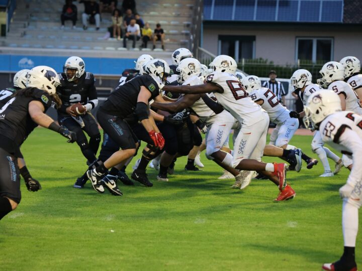 Championnat de France D1 Élite – Wild Cards – Les Black Panthers et les Léopards se qualifient 