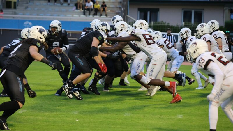 Championnat de France D1 Élite – Wild Cards – Les Black Panthers et les Léopards se qualifient 